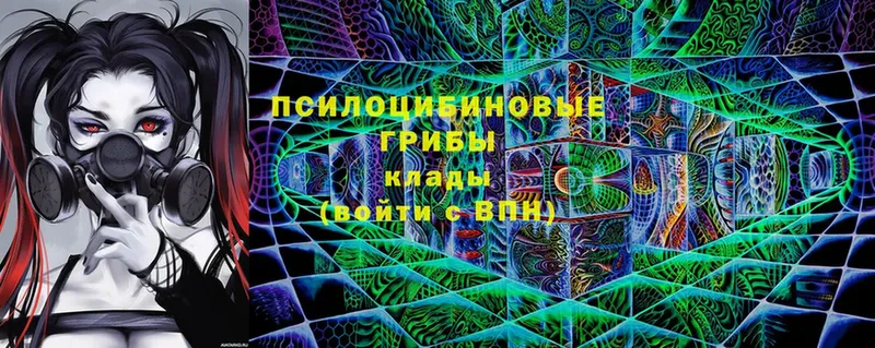 Галлюциногенные грибы Cubensis  Сарапул 